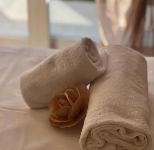 Timetofreedom Bellevue *